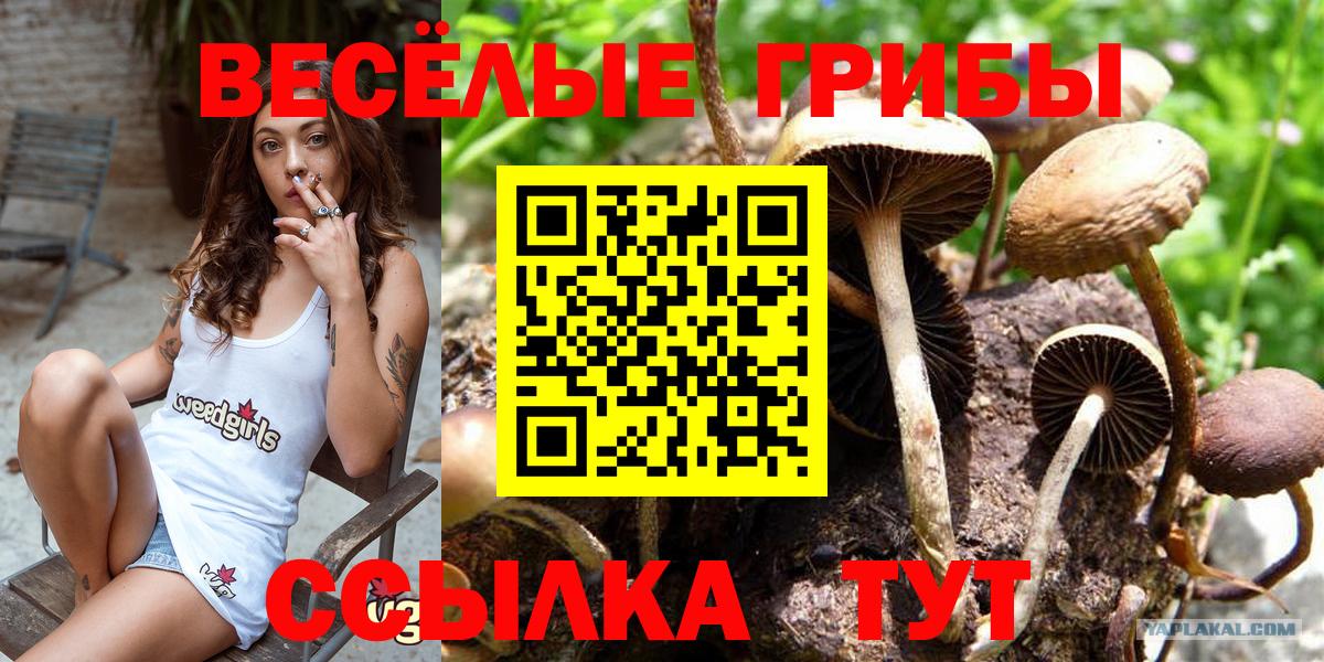 продажа наркотиков  Псилоцибиновые грибы Magic Shrooms  Вход с VPN  Воркута 