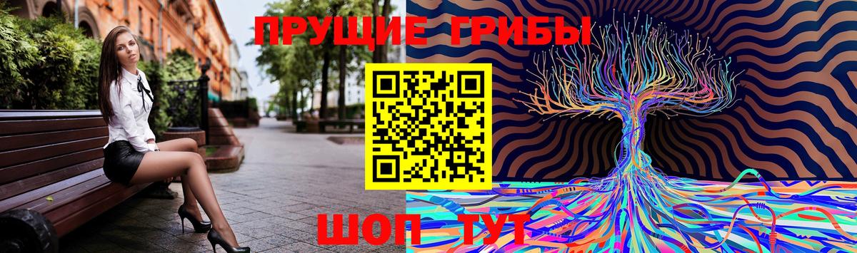 Псилоцибиновые грибы GOLDEN TEACHER Воркута